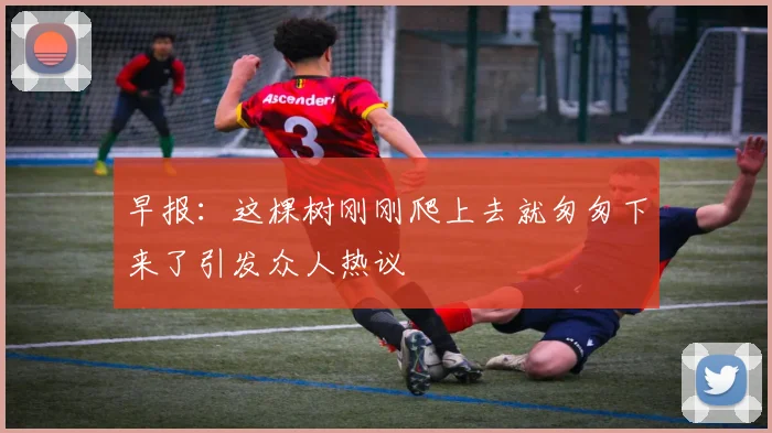 早报：这棵树刚刚爬上去就匆匆下来了引发众人热议