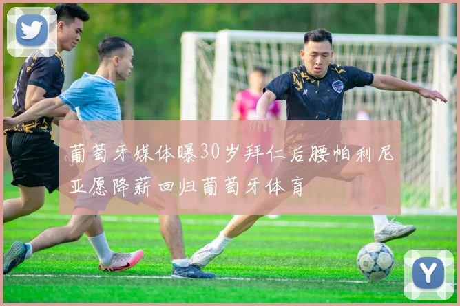 葡萄牙媒体曝30岁拜仁后腰帕利尼亚愿降薪回归葡萄牙体育