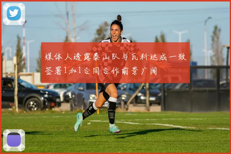 媒体人透露泰山队与瓦科达成一致签署1加1合同合作前景广阔